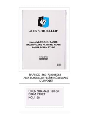 Alex Schoeller 35x50 120 Gr Resim Kağıdı 100"lü Alx-5013
