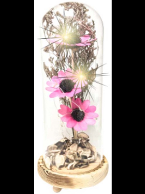 Kembs 10x25 Cm Çiçekli ve Işıklı Fanus