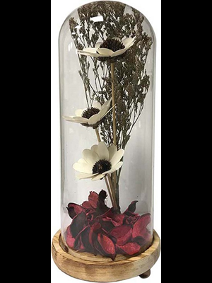 Kembs 10x25 Cm Çiçekli Fanus