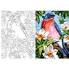 Aka Sanat 35*50 Çizilmiş Tuval Çiçek ve Kuş Ççk3550004