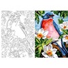 Aka Sanat 50*70 Çizilmiş Tuval Çiçek ve Kuş Ççk5070004