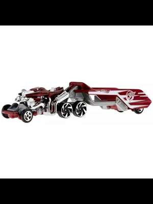 Hot Wheels Kamyonlar Bfm60