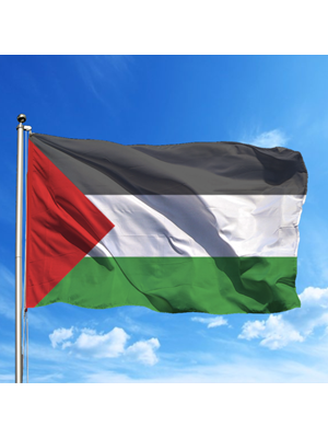 Alsancak 50x75 Raşel Yabancı Devlet Bayrağı Filistin