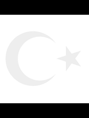 Svn Ay Yıldız Bayrak Folyo Sticker No:2