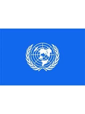 Alsancak 70x105 Raşel Yabancı Devlet Bayrağı Birleşmiş Milletler