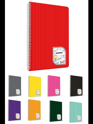 Çınar Colormaxi A5 Spiralli Pp Kapak Defter Kareli 96 Yp 73505