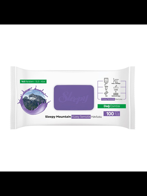 Sleepy Yüzey Temizlik Havlusu Dağ Esintisi 100"lü