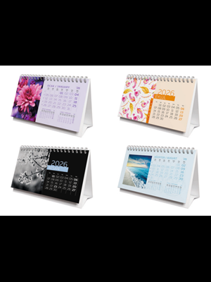 Gıpta 9x17 Bristol Üçgen Takvim 917-brs (2026)