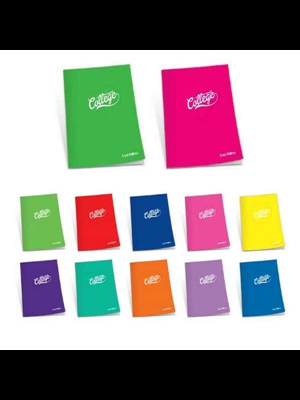 Çınar College A4 Tel Dikişli Pp Kapak Defter Kareli 120 Yp 76027