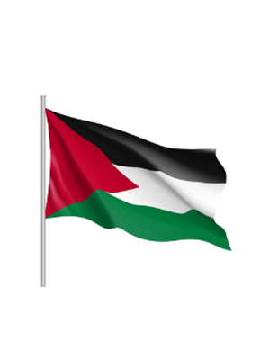 Kale 70x105 Raşel Yabancı Devlet Bayrağı Filistin