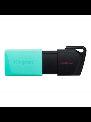 Kingston Dtxm-256gb Usb 3.2 Flash Bellek