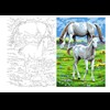 Aka Sanat 50*70 Çizilmiş Tuval Beyaz Atlar Hyv5070001