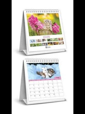 Keskin Color Kare Masa Takvimi Kediler 600137-99 (2026)