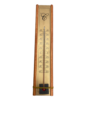 F G Ahşap Termometre 4.5x20 Th-301