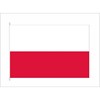 Alsancak 50*75 Yabancı Devlet Bayrağı Polonya