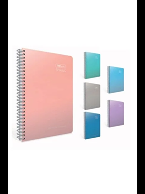 Gıpta Thebook Spirals 17x24 Sert Kapak Spiralli Defter Kareli 100 Yp 5514