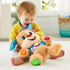 Fisher Price Yaşa Göre Gelişim Eğitici Köpekçik Fpn79