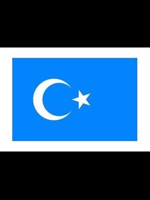 Alsancak 70x105 Raşel Yabancı Devlet Bayrağı Türkistan