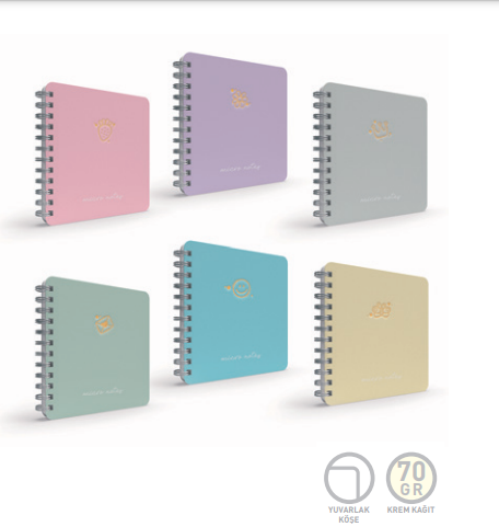 GIPTA MICRO NOTES 16X16 SERT KAPAK SPİRALLİ DEFTER ÇİZGİLİ 100 YP 5995