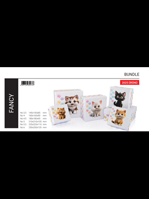 Gıpta Fancy Kare Hediye Kutusu No:3.5 Bx2787