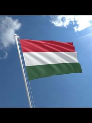 Alsancak 50x75 Raşel Yabancı Devlet Bayrağı Macaristan