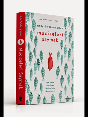Mucizeleri Saymak - Domingo Yayınları