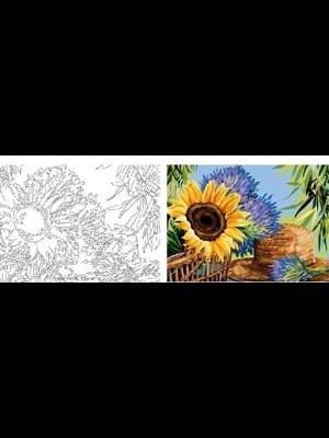 Aka Sanat 50x70 Çizilmiş Tuval Ayçiçeği Ççk5070002