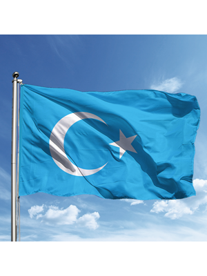 Alsancak 50x75 Raşel Yabancı Devlet Bayrağı Türkistan