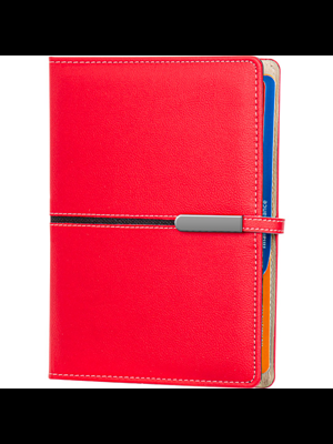 Aka Pro Malatya 18x23 Mekanizmalı Organizer Ajanda (2026)