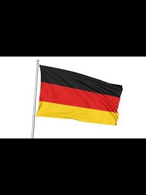 Kale 50x75 Raşel Yabancı Devlet Bayrağı Almanya