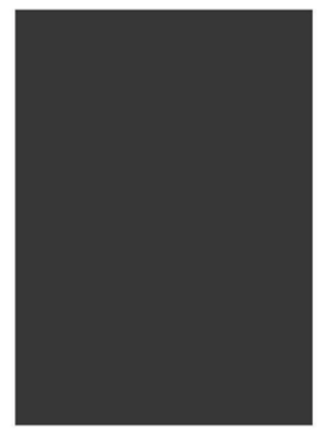 Eren 50x70 Renkli Mukavva Siyah Tutp2