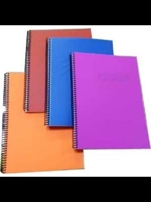 Gıpta Eko A4 Pp Kapak Spiralli Defter Çizgili 80 Yp 3-2029000