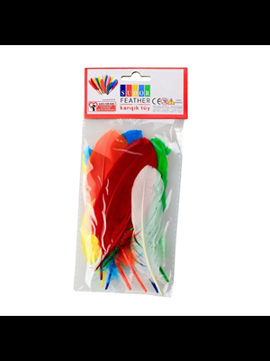 Südor Renkli Tüy 12"li Ss25