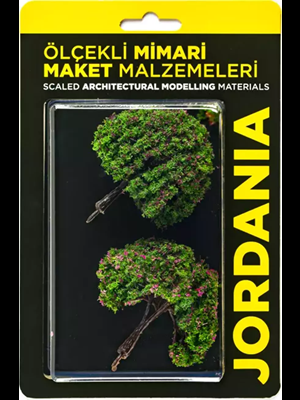 Jordania 1\100 8 Cm Ağaç 2"li Je03p-w8070c