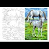 Aka Sanat 35*50 Çizilmiş Tuval Beyaz Atlar Hyv3550001