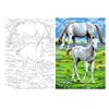 Aka Sanat 35*50 Çizilmiş Tuval Beyaz Atlar Hyv3550001
