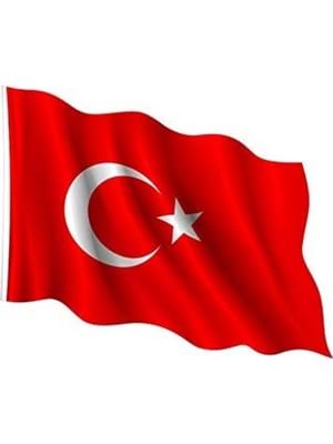Vatan Dalgalı Türk Bayrağı Arması