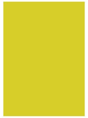 Eren 35x50 Renkli Mukavva Sarı Tut06