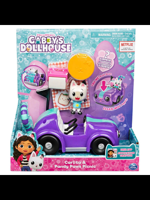 Gabby's Dollhouse Carlita ve Pandy Paws Piknik Spm-6062145