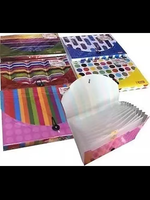 Mikro A4 13 Bölmeli Lastikli Körüklü Dosya Pastel Renkler Md-13p