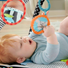 Fisher Price Neşeli Hayvanlar 3'ü 1 Arada Jimnastik Merkezi Hbp41