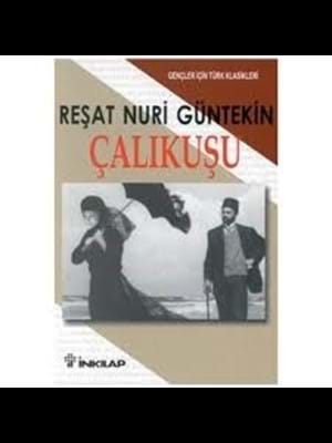 Çalıkuşu - İnkılap Yayınları