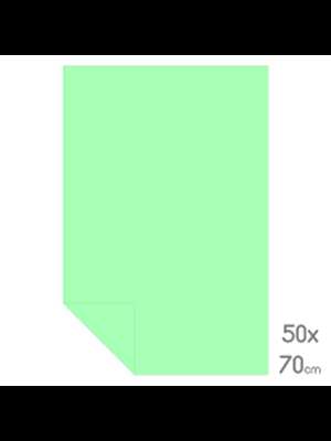 Herboy 50x70 160 Gr Fon Kartonu No:18 Açık Yeşil Hrb-3113