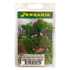 Jordania 4.5 Cm Çiçek 6"lı Fuşya Fl3245f