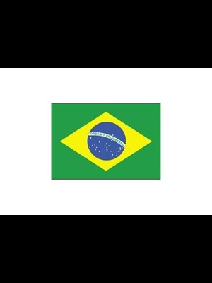 Alsancak 70x105 Raşel Yabancı Devlet Bayrağı Brezilya