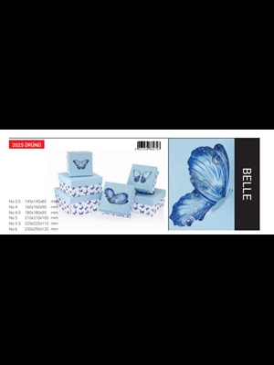 Gıpta Belle Kare Hediye Kutusu No:5.5 Bx2797